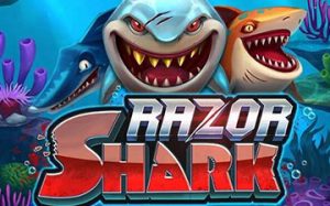 Razor Shark